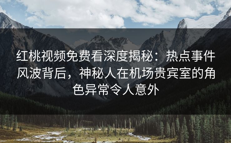 红桃视频免费看深度揭秘：热点事件风波背后，神秘人在机场贵宾室的角色异常令人意外