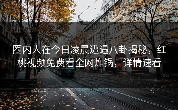 圈内人在今日凌晨遭遇八卦揭秘，红桃视频免费看全网炸锅，详情速看