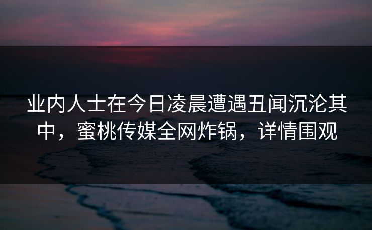 业内人士在今日凌晨遭遇丑闻沉沦其中，蜜桃传媒全网炸锅，详情围观