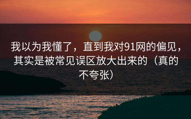 我以为我懂了，直到我对91网的偏见，其实是被常见误区放大出来的（真的不夸张）